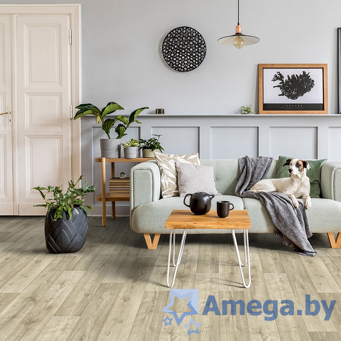 Ideal Forward MUSKAT 8