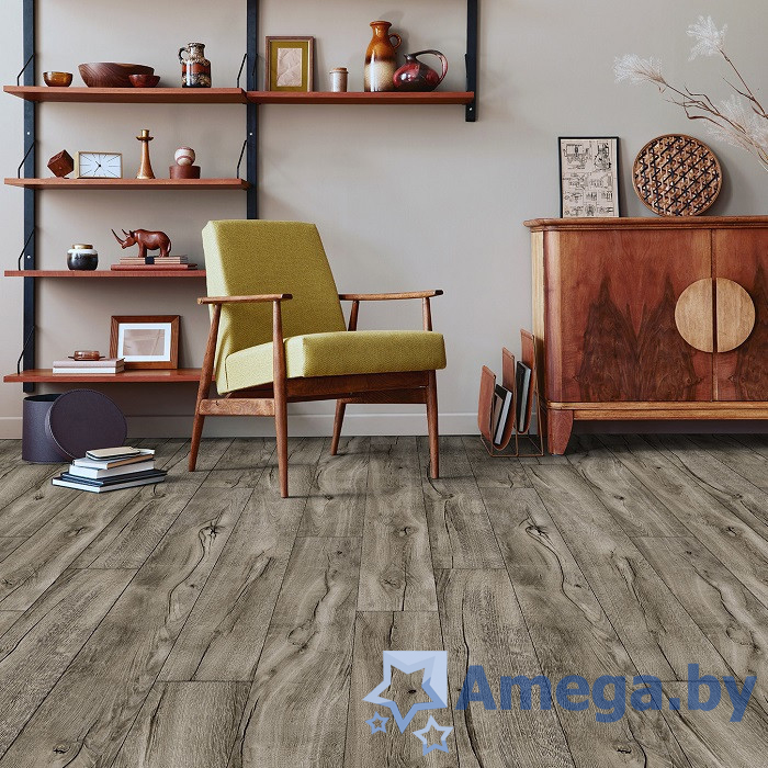 Ideal GLORY AMADEY 2