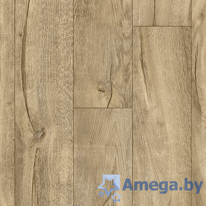 Ideal GLORY AMADEY 3