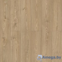 Swiss Krono Compliment Дуб Лейнстоун