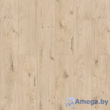 Swiss Krono Intellekt Дуб Бирта