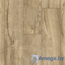 Ideal GLORY AMADEY 3